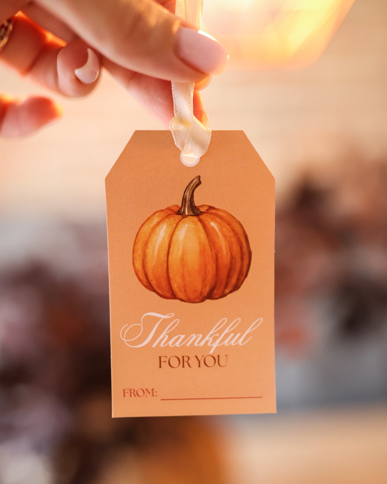 GIFT CARD THANKFUL THEME - set of three